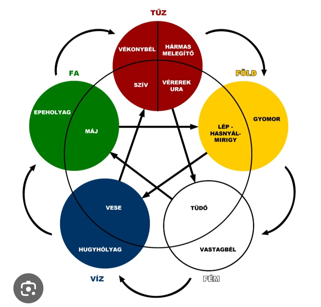 Kínai orvoslás elvei